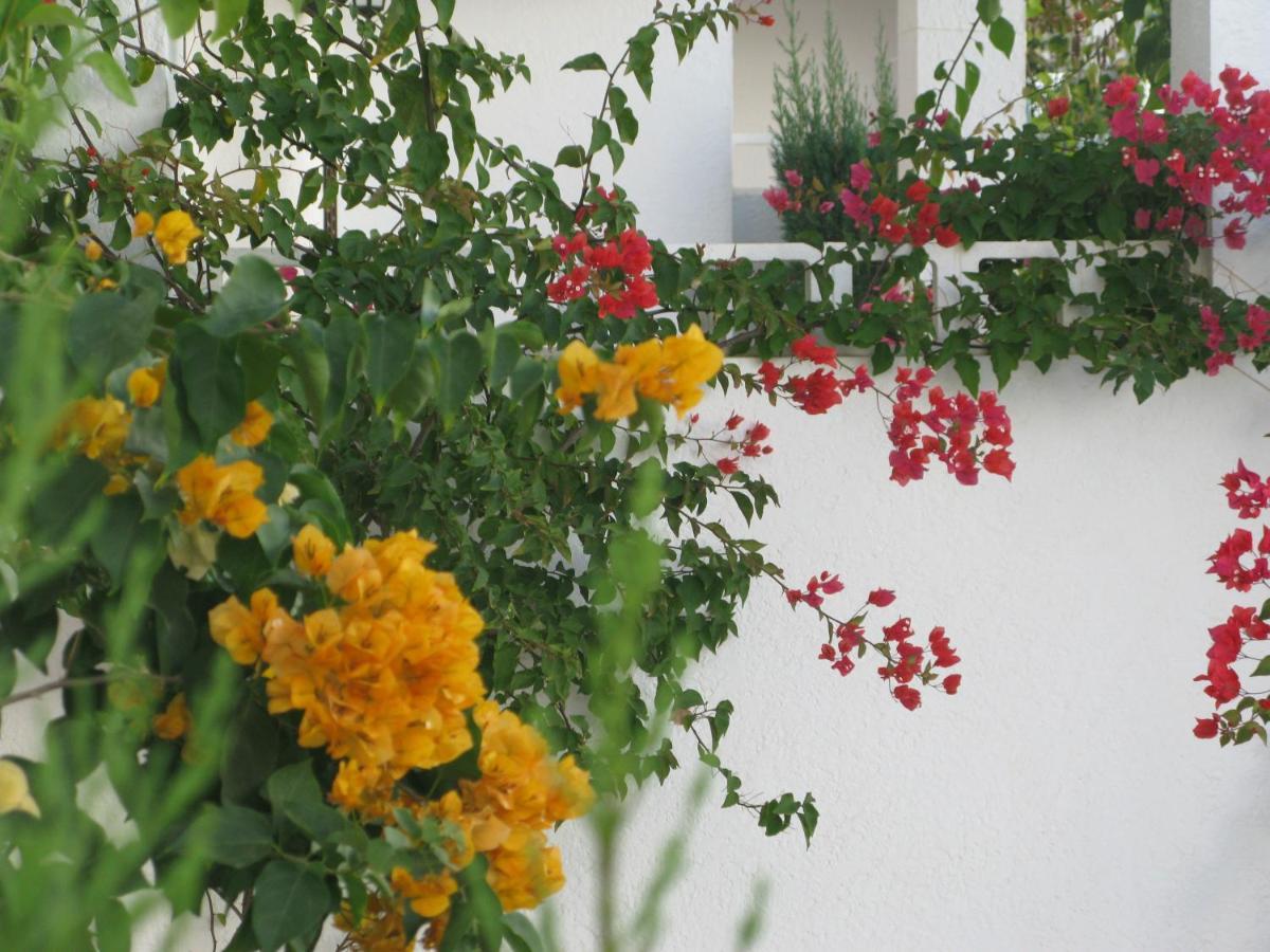 1St Line To The Beach & Sunshine In Mar De Pulpi San Juan de los Terreros Exterior foto